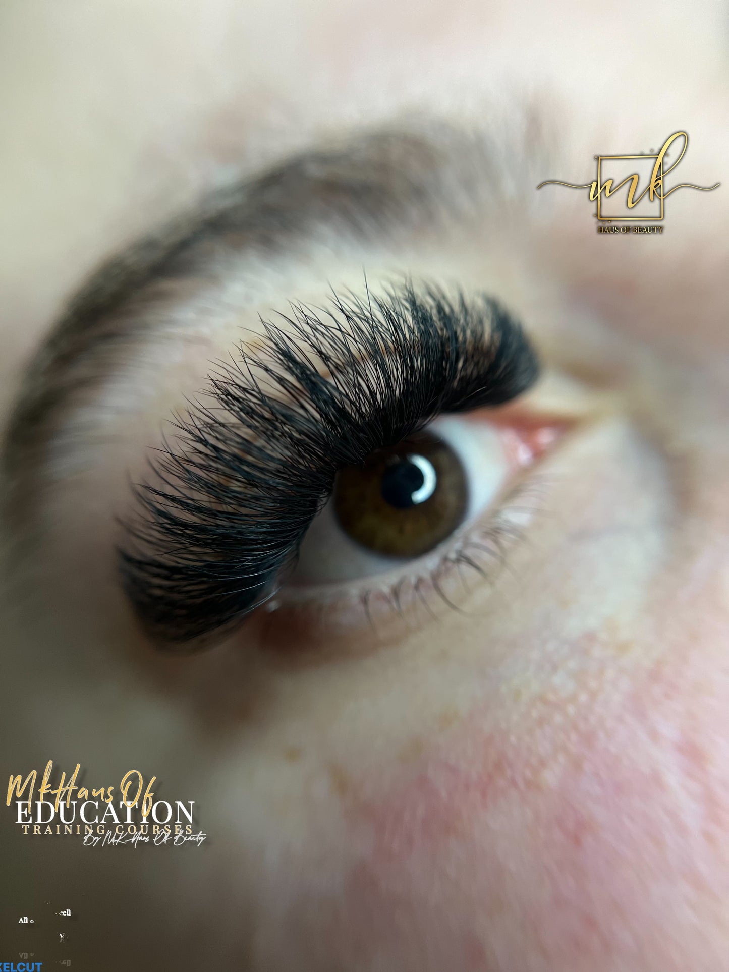 MK Drastic Black Short Stem Premade Fan 6D XL Trays