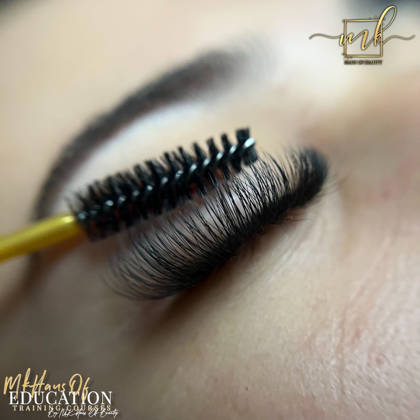 MK Drastic Black Pointy Base Premade Fan 3D XL Trays - DISCONTINUED