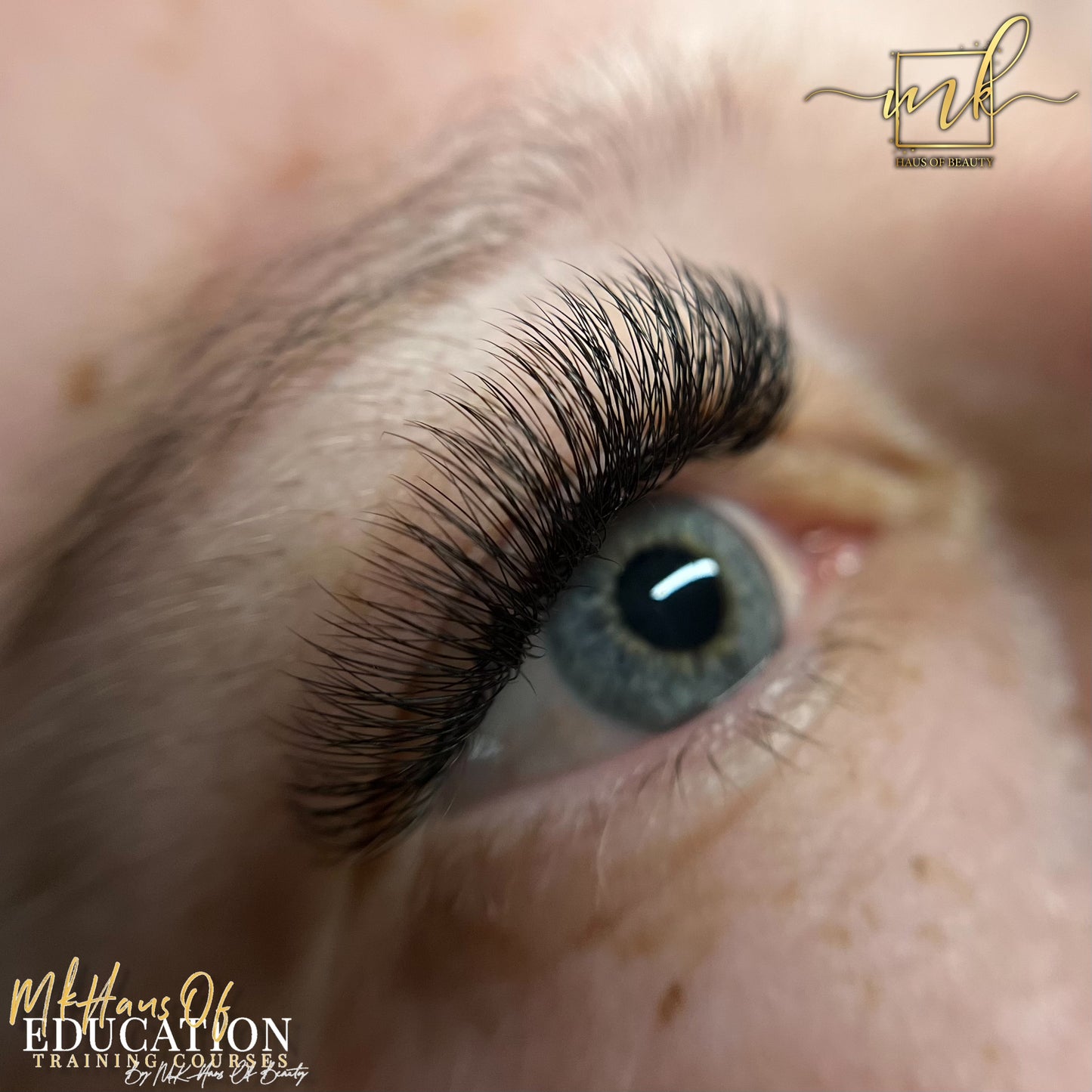 MK Drastic Black Pointy Base Premade Fan 3D XL Trays - DISCONTINUED