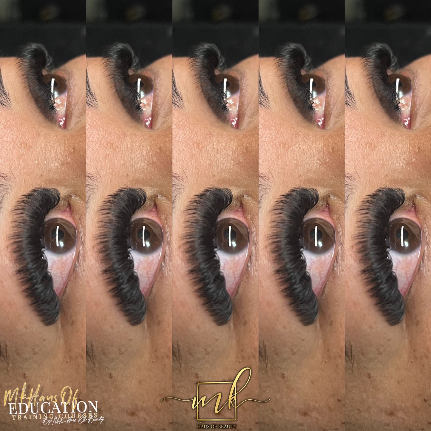 MK Drastic Black Mid Stem Premade Fan 10D XL Trays