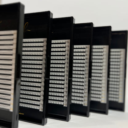 MK Drastic Black Short Stem Premade Fans 3D - 10D Mixed, 6 x 8-15mm Sample XL Trays