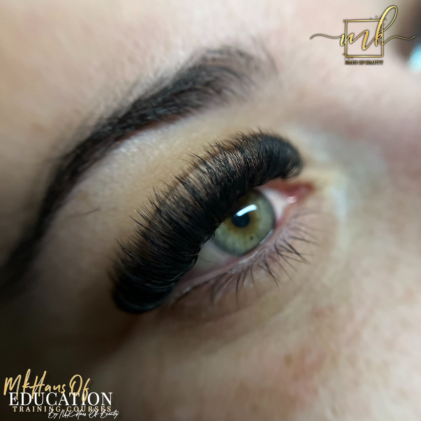 MK Drastic Black Mid Stem Premade Fan 10D XL Trays