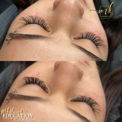 MK Drastic Black Pointy Base Premade Fan 3D XL Trays - DISCONTINUED