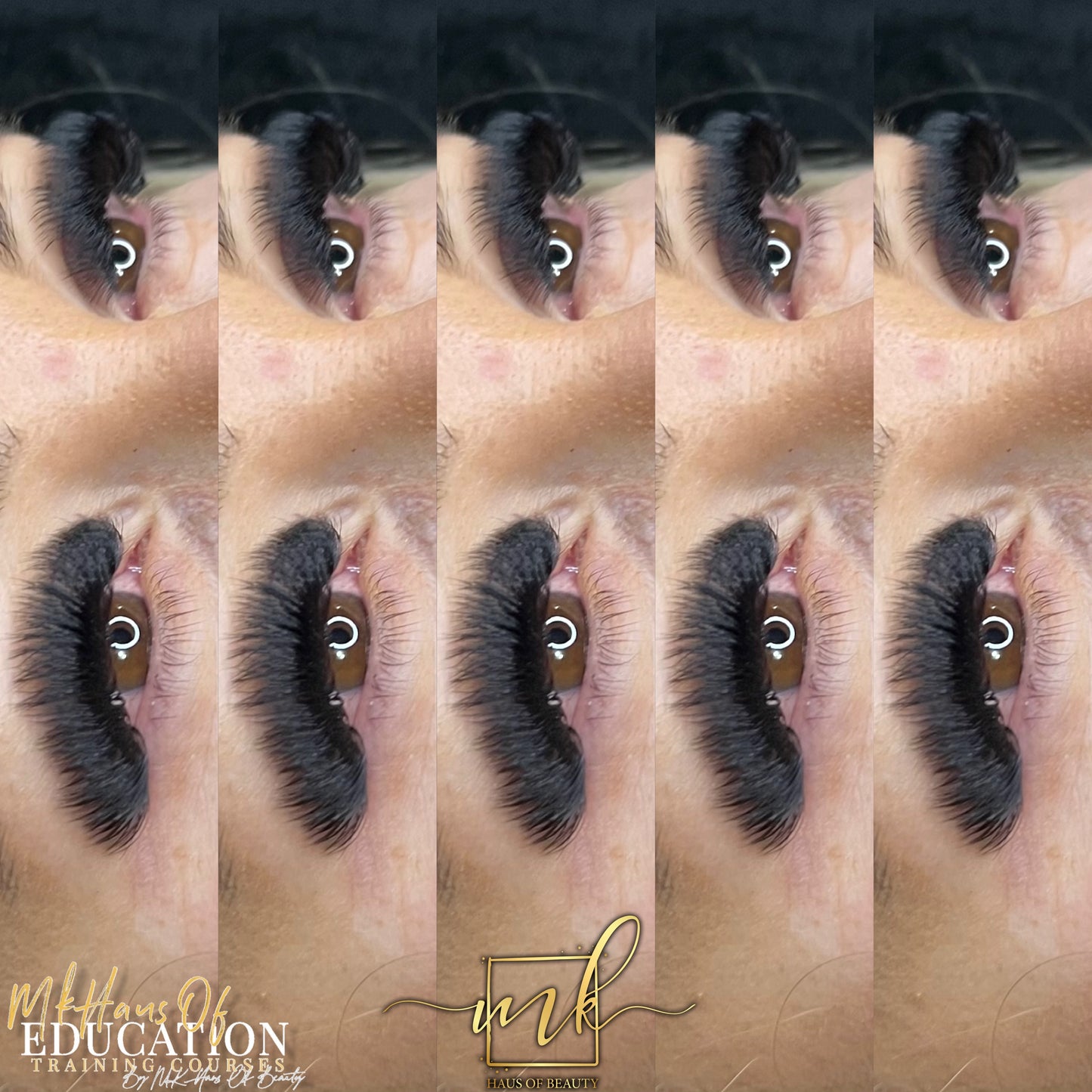 MK Drastic Black Mid Stem Premade Fan 14D XL Trays